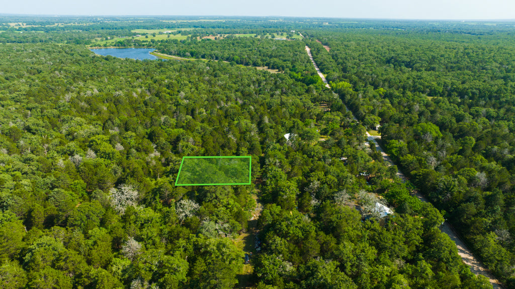Wooded Lot with Access near Bastrop, TX : TX_Bastrop_00001
