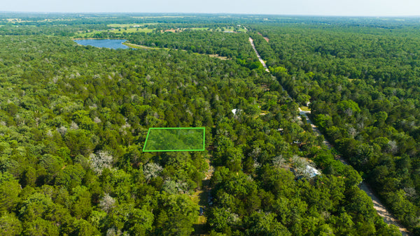 Wooded Lot with Access near Bastrop, TX : TX_Bastrop_00001