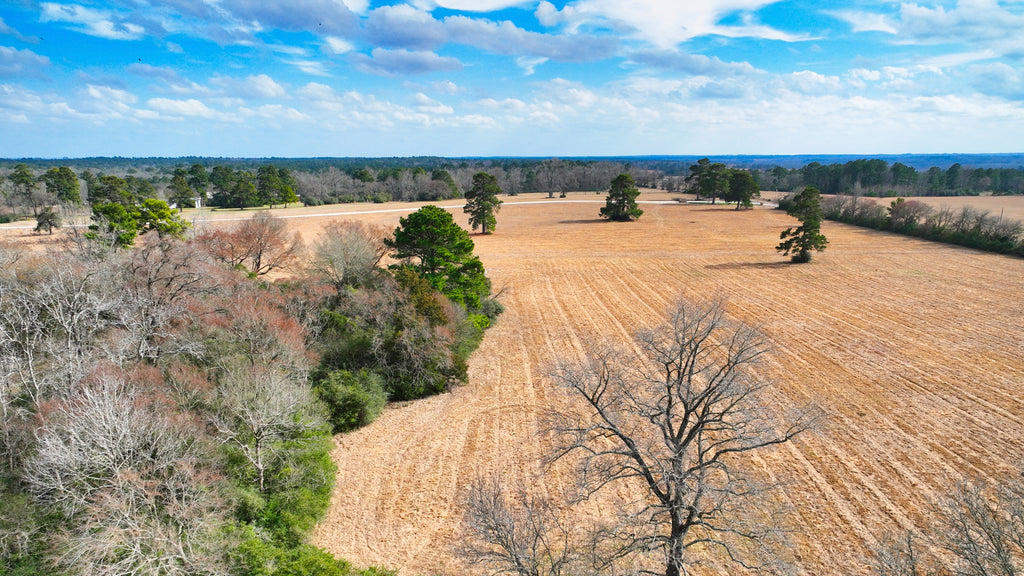 10 Acres with Electricity & County Road Frontage near Centerville, TX : TX_Leon_00001