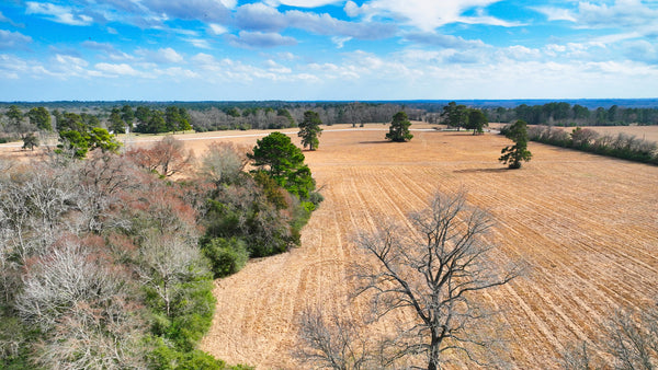 10 Acres with Electricity & County Road Frontage near Centerville, TX : TX_Leon_00001