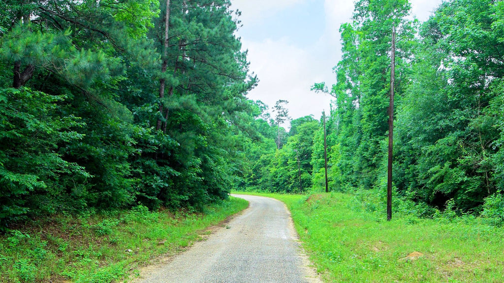Wooded Texas Homesite with Electricity, Telephone & Internet : TX_Liberty_00014
