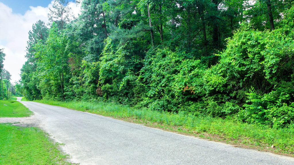 Wooded Texas Homesite with Road Frontage & Utilities : TX_Liberty_00021