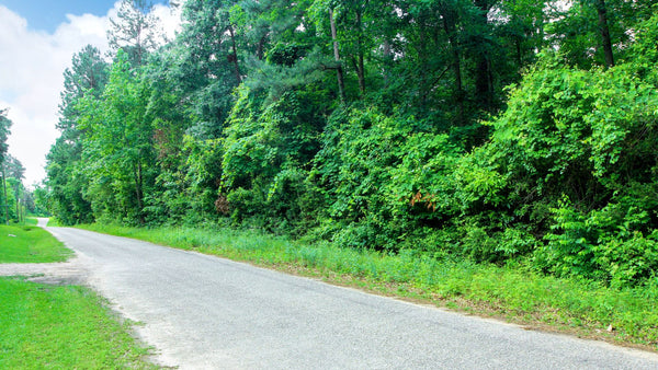 Wooded Texas Homesite with Road Frontage & Utilities : TX_Liberty_00021