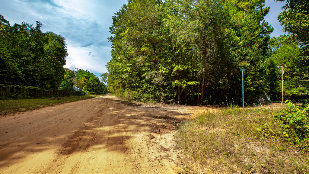 Wooded Corner Lot with Utilities near National Preserve : TX_Liberty_00023