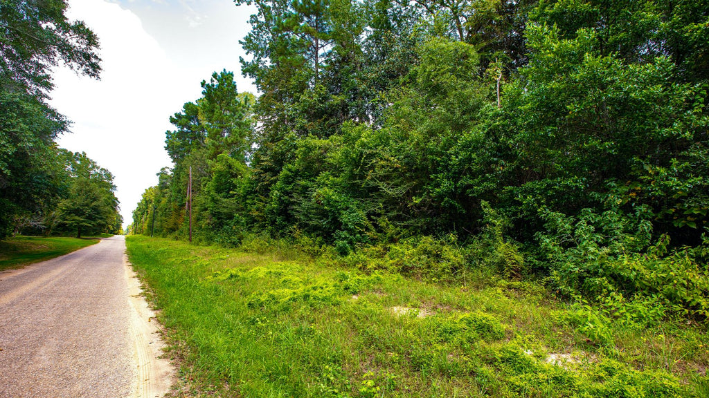 Wooded Lot with Utilities & Paved Road Frontage : TX_Liberty_00025