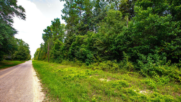 Wooded Lot with Utilities & Paved Road Frontage : TX_Liberty_00025