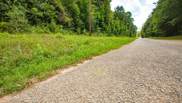 Wooded Lot near National Preserve with Utilities & Paved Road Frontage : TX_Liberty_00026