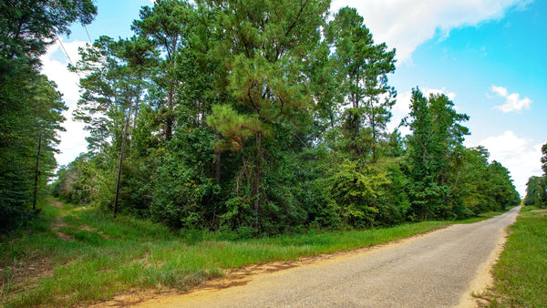 Wooded Lot with Paved Road Frontage near National Preserve : TX_Liberty_00027