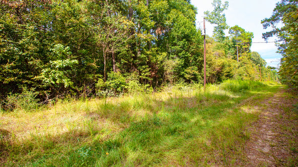 Wooded Lot with Utilities near National Preserve : TX_Liberty_00029