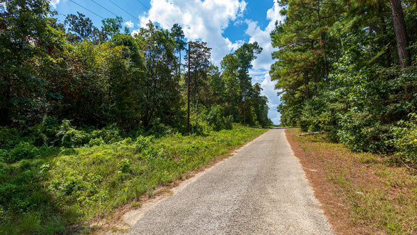 Wooded Homesite with Utilities bordering National Preserve : TX_Liberty_00030