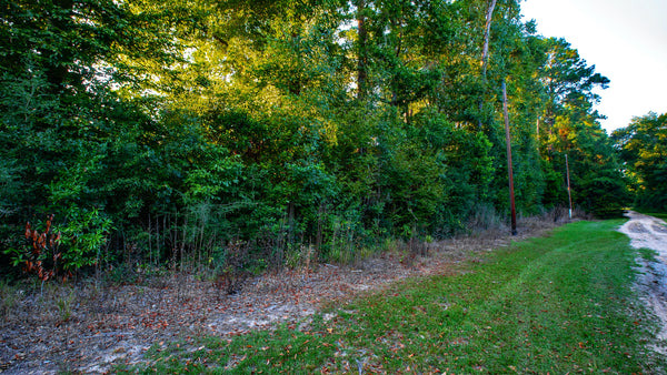 Wooded Lot with Utilities near Big Thicket National Preserve : TX_Liberty_00033