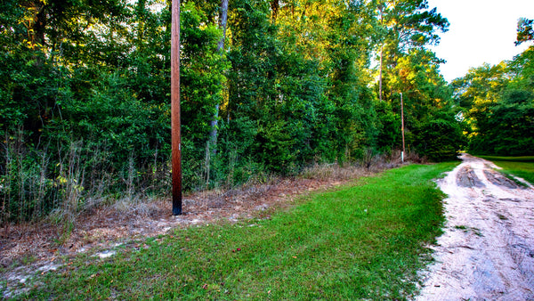Wooded Lot with Utilities near Lake Livingston & National Preserve  : TX_Liberty_00034