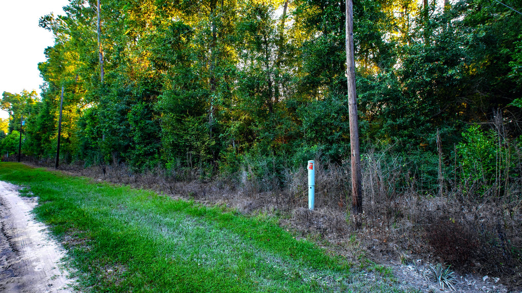 Wooded Lot with Utilities near Big Thicket National Preserve  : TX_Liberty_00035