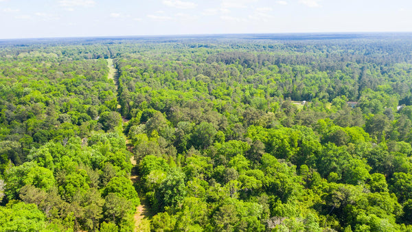 Wooded Homesite with Utilities near Lake Livingston : TX_Liberty_00036