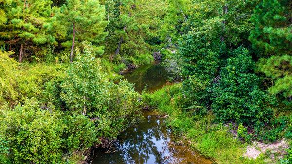 Wooded Lot with Utilities, Greenbelt & Creek Access near National Preserve : TX_Polk_00001