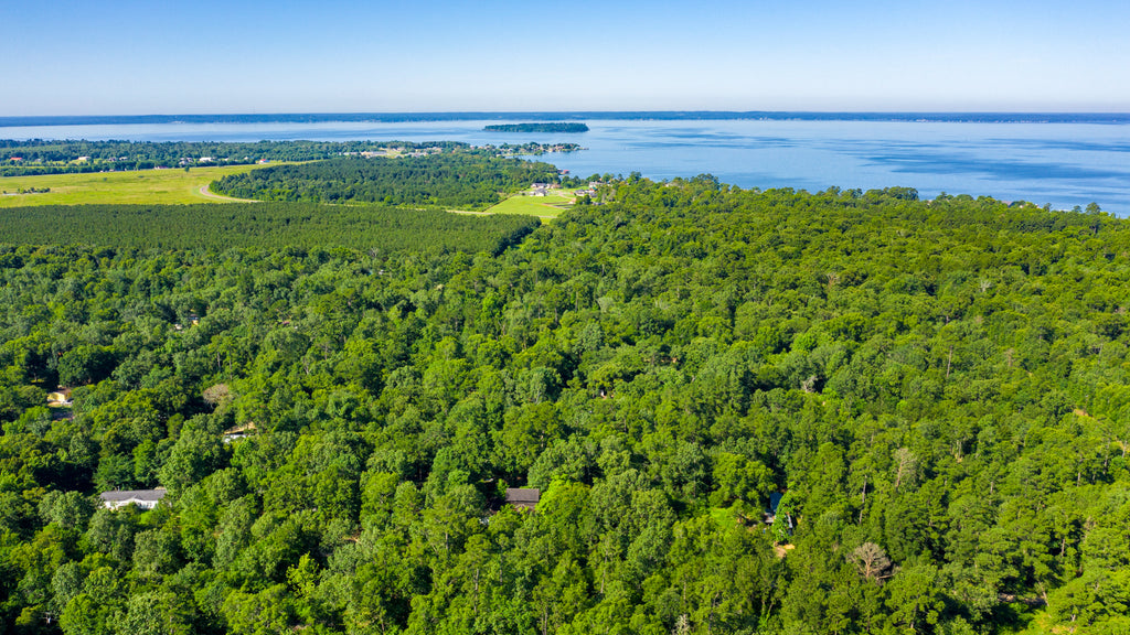 Wooded Lot with Utilities Near Lake Livingston : TX_Polk_00003