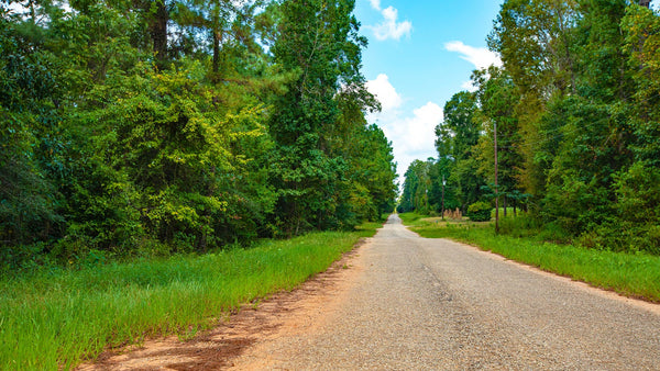 Wooded Lot with Utilities Near Big Thicket National Preserve : TX_Polk_00004
