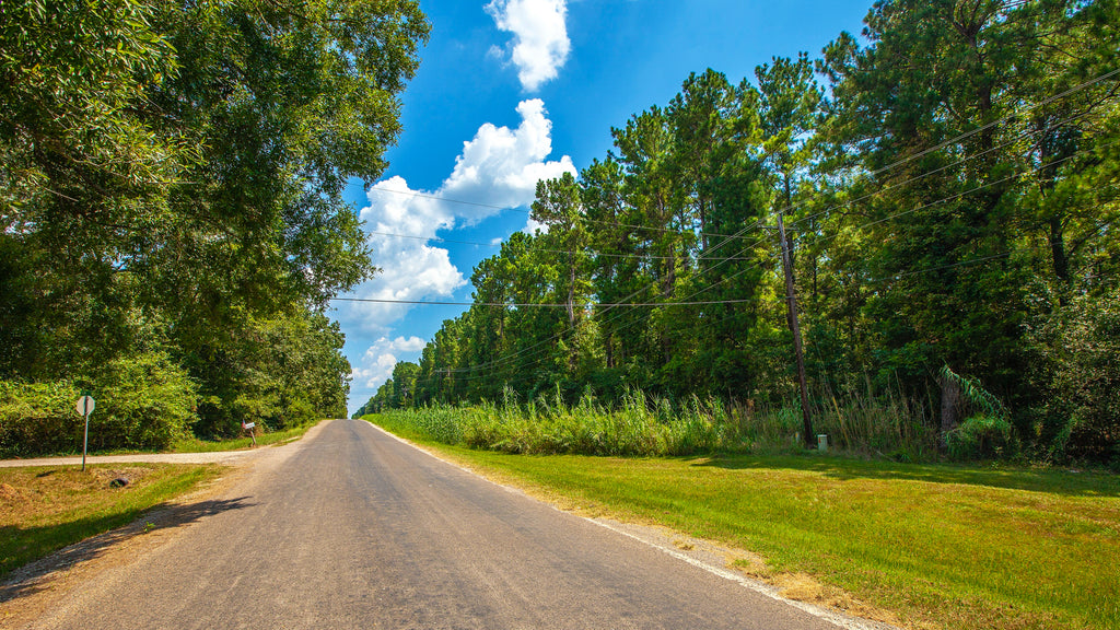 Wooded Lot with Paved Road Frontage & Utilities : TX_Polk_00007