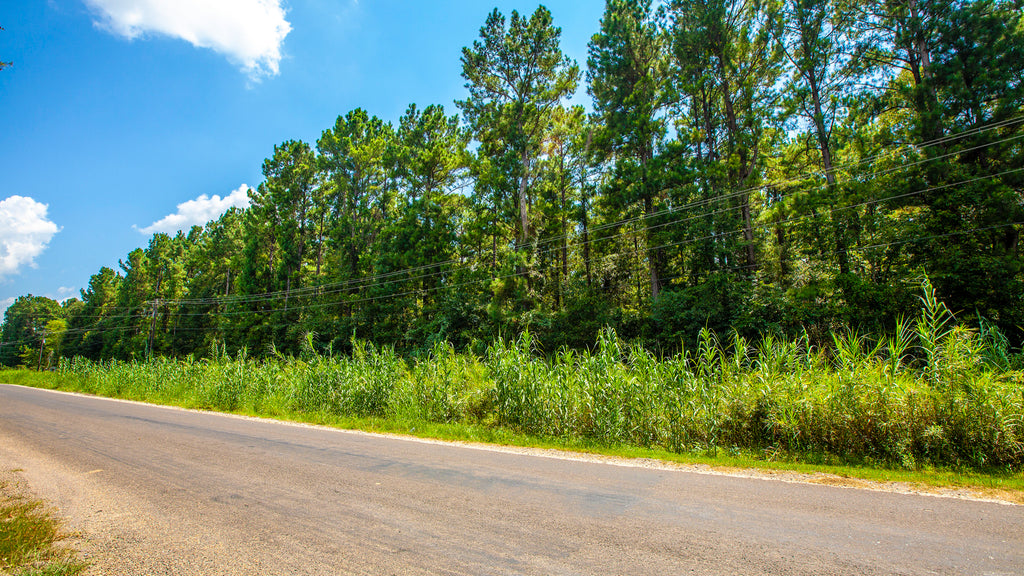Wooded Lot with Utilities Near Lake Livingston : TX_Polk_00008
