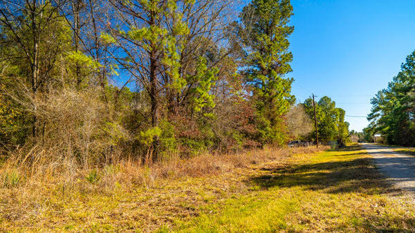 Wooded Lot with Utilities & Road Frontage near Lake Livingston : TX_Polk_00013
