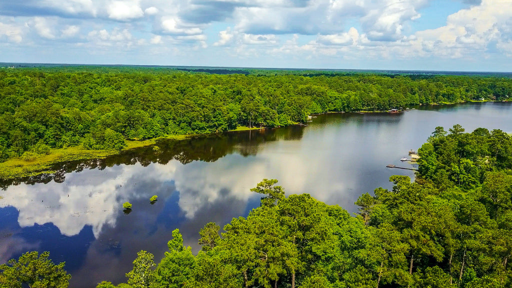 Wooded Lot with Utilities Across from Lake : TX_Tyler_00001