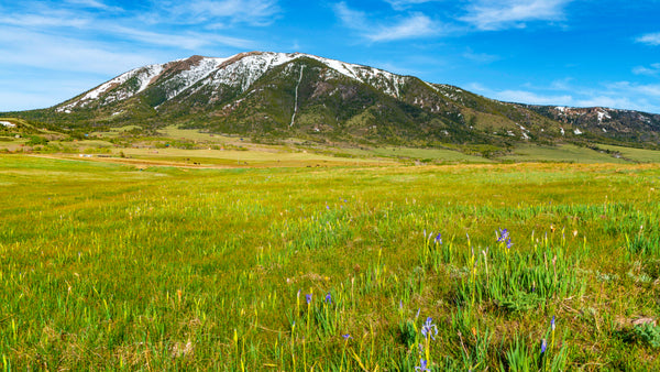 2.38 Acre Lot with Road Frontage near Medicine Bow National Forest : WY_Carbon_00023