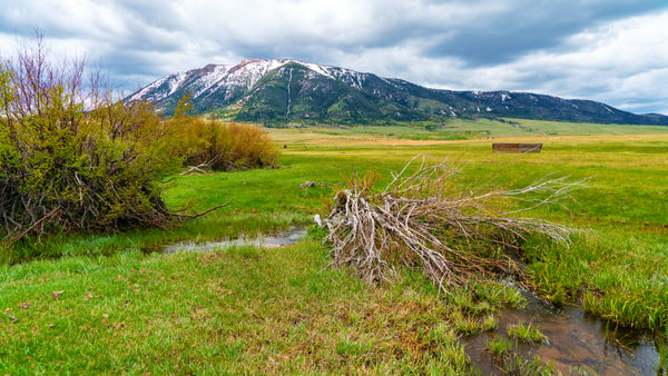 2.38 Acre Lot with Creek Frontage & Elk Mountain Views near the Medicine Bow National Forest : WY_Carbon_00032