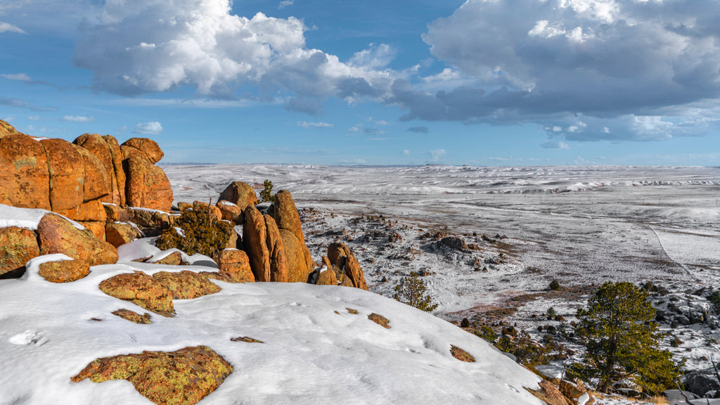 80 Acres with Access near BLM Land : WY_Carbon_00035