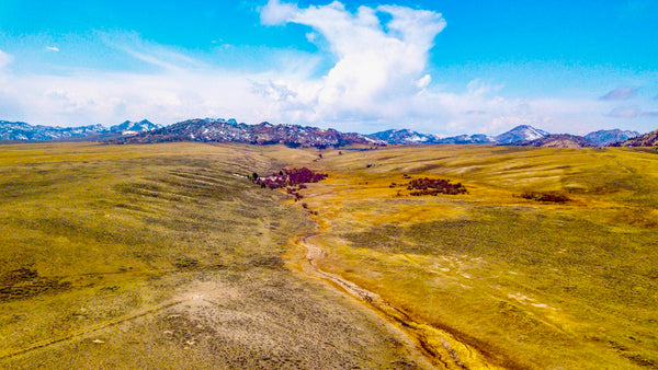 40 Acres with Creek, Mountain Views & Bordering BLM Land : WY_Carbon_00039
