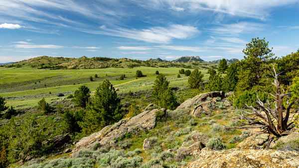 40 Acres with Road Frontage Bordering BLM Land : WY_Carbon_00043