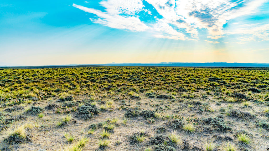 40 Acres with Road Access bordering BLM Land : WY_Sweetwater_00016