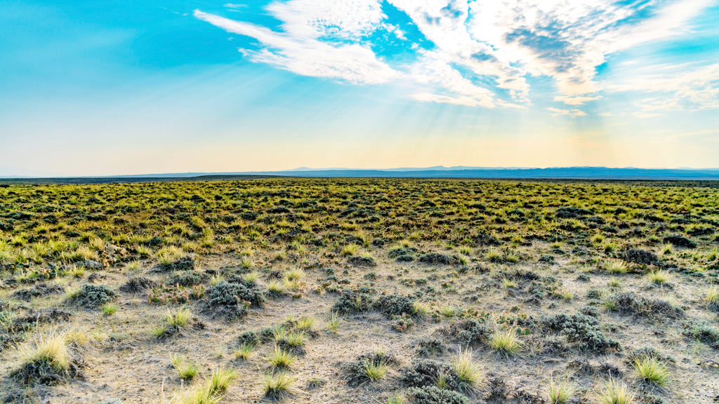 40 Acres with Dirt Road Access bordering BLM Land : WY_Sweetwater_00017