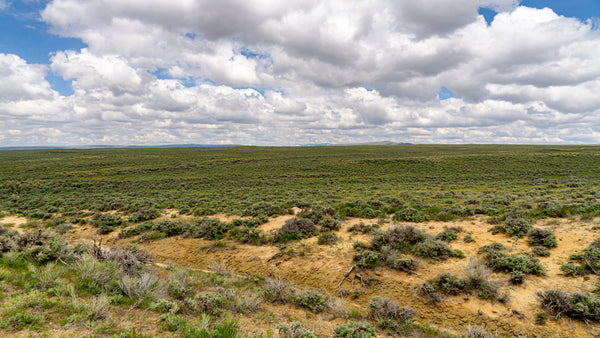 10 Acres with Dirt Road Access near BLM Land  : WY_Sweetwater_00018